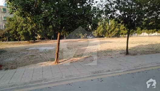 162 Tulip Excellent Location Plot For Sale On Attractive Rate 162 Tulip Excellent Location Plot For Sale On Attractive Rate