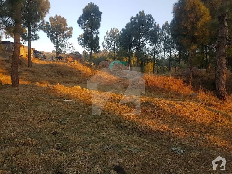33 Kanal And 1 Marla Land Available For Sale Others, Mansehra