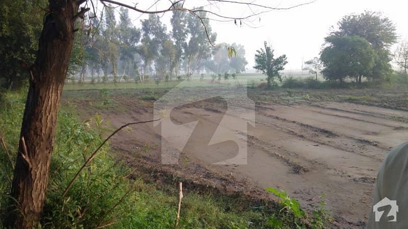 بیدیاں روڈ لاہور میں 16 کنال زرعی زمین 5 کروڑ میں برائے فروخت۔