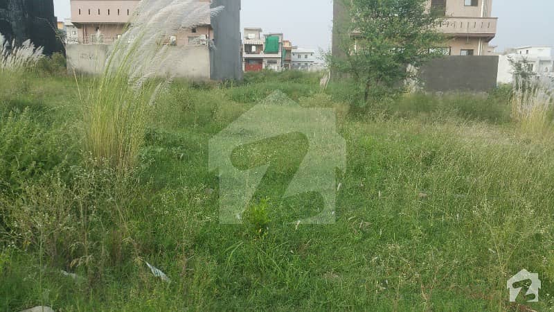 6 Marla Level Plot Available For Sale In Korang Town