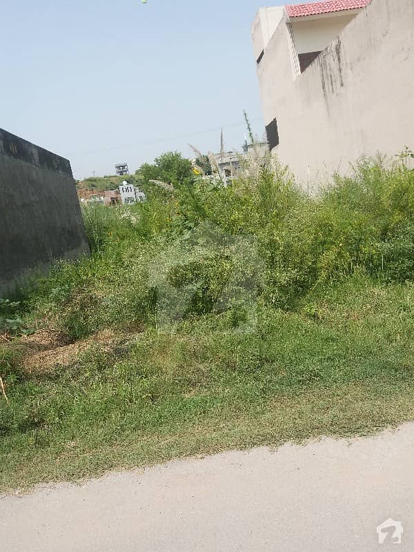 Prime Location Plot For Sale On Pency Road For Sale Prime Location Plot For Sale On Pency Road For Sale