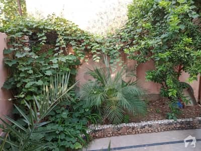 Semi Furnished Lower Portion Available For Rent Semi Furnished Lower Portion Available For Rent