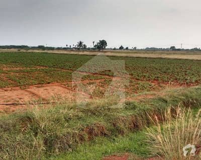 12.5 Acre Agricultural Land For Sale