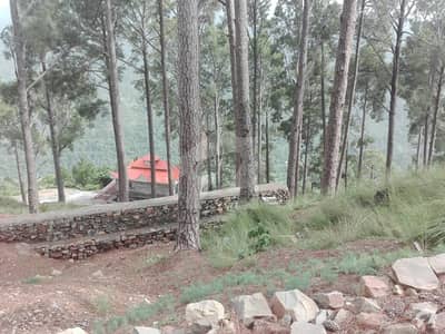 مری رسارٹس مری میں 1 کنال رہائشی پلاٹ 30 لاکھ میں برائے فروخت۔ مری رسارٹس مری میں 1 کنال رہائشی پلاٹ 30 لاکھ میں برائے فروخت۔