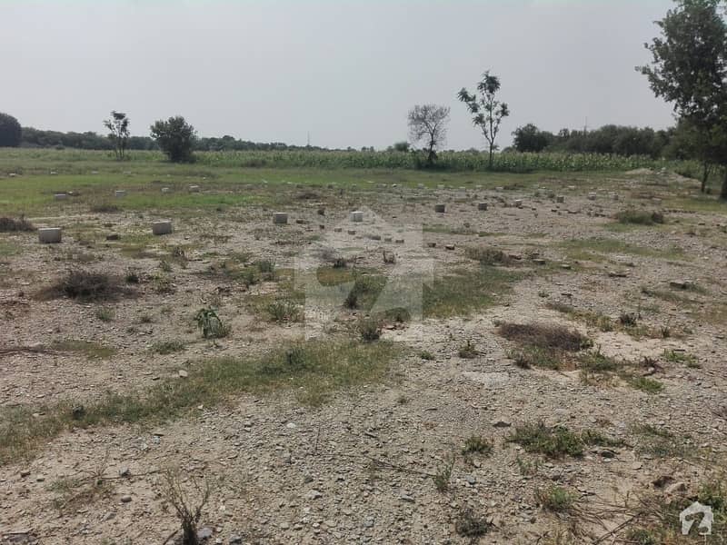 Plot Is Available For Sale In Nartopa Haripur Plot Is Available For Sale In Nartopa Haripur