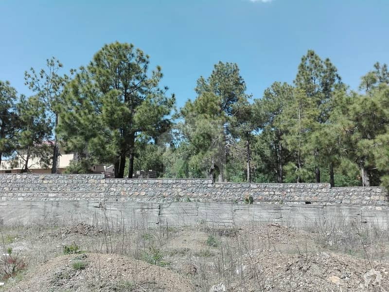 Land Available For Sale Near Main Mansehra Road Abbottabad Main