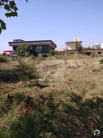 Residential Plot Is Available For Sale In Korang Town