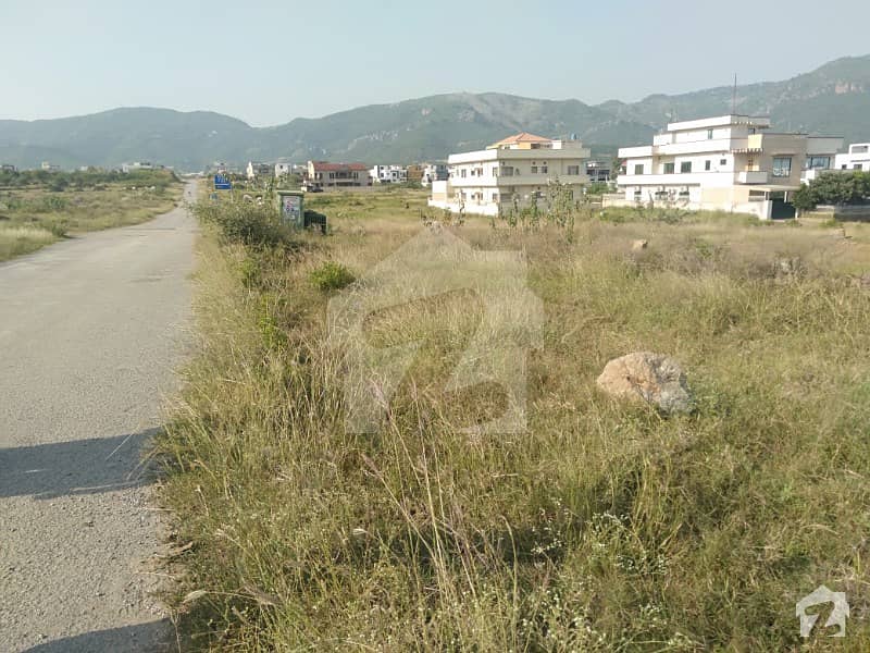 One Kanal Plot For Sale In D-12