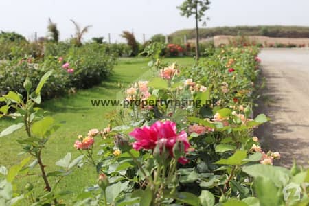Cbr Phase 2 Prime Block - Plot File For Sale Cbr Phase 2 Prime Block - Plot File For Sale