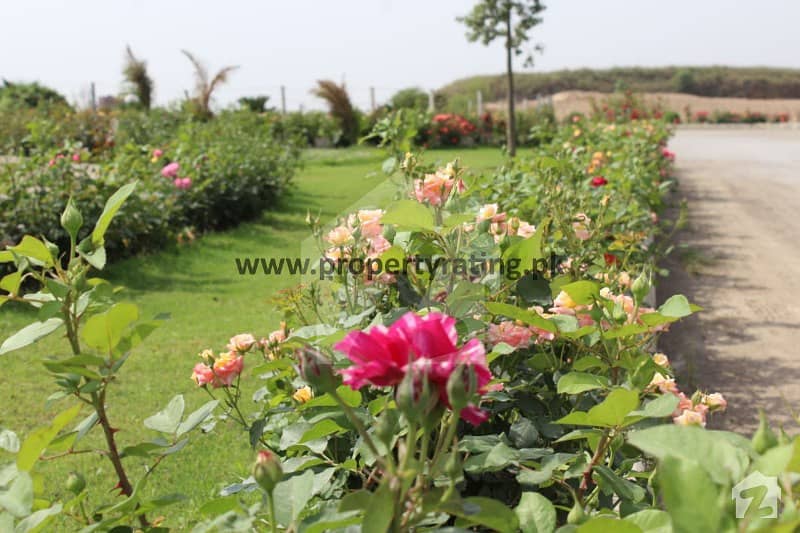 Cbr Phase 2 Prime Block - Plot File For Sale Cbr Phase 2 Prime Block - Plot File For Sale