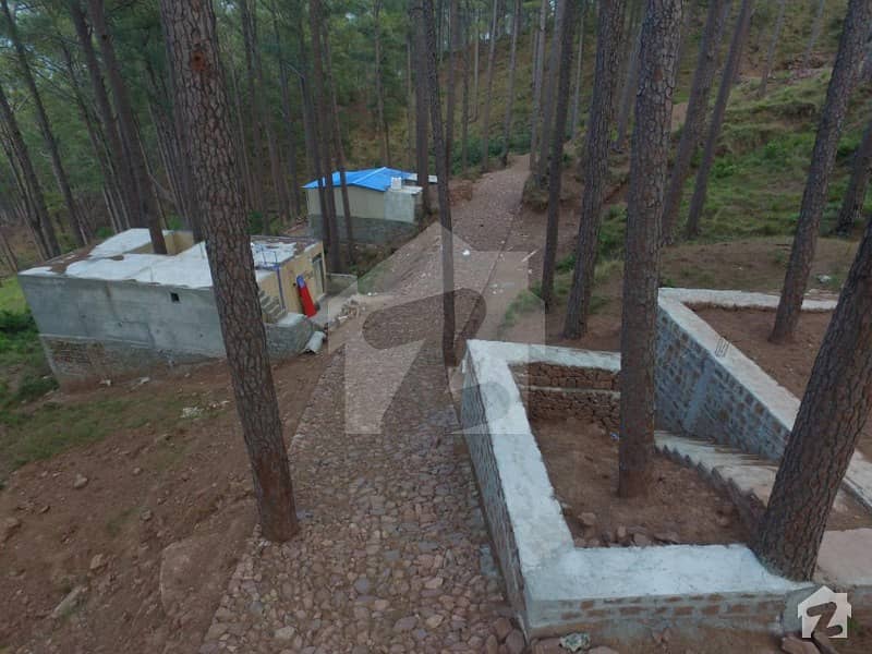 One Kanal Plot For Sale In Most Amazing Full Of Nature Area Of New Murree