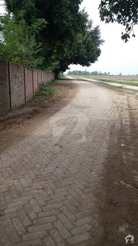Agriculture Land For Sale 5 Lac Per ACRE 13KM to Raiwind Road at Rao Khan Wala Kasur Boundary Touch Railway track