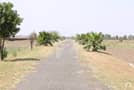 1 Palm City Sialkot 1 Palm City Sialkot