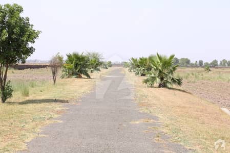 Palm City Sialkot Palm City Sialkot