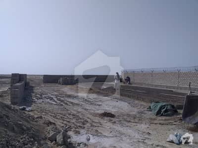 Special Discount Offer 5 Marla Plot in Gwadar Central Special Discount Offer 5 Marla Plot in Gwadar Central