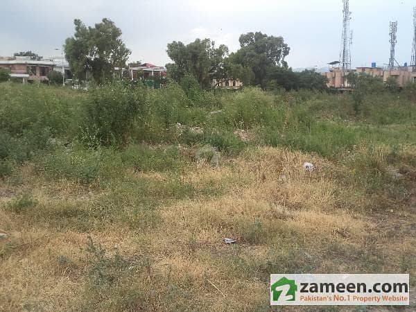 Beautiful Plot Available For Sale In Chak Shehzad On Ideal Location