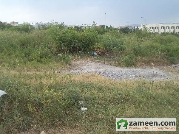 Commercial Plot Available For Sale In Shoes Market I-11/4 Ideal Location