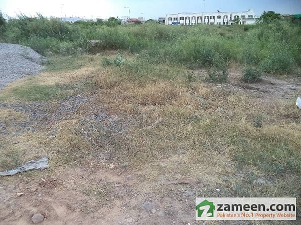 Commercial Plot Available For Sale In Shoes Market I-11/4 Ideal Location