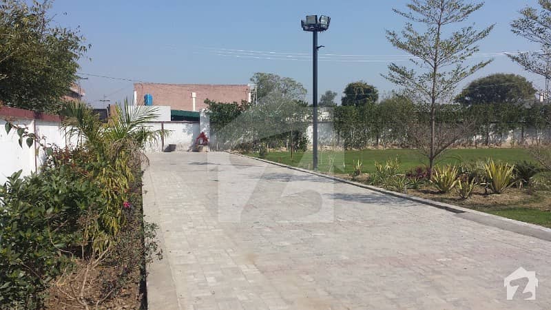 Farm House For Rent Farm House For Rent