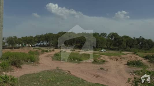 25x50 Good Location Plot For Sale In E-12 25x50 Good Location Plot For Sale In E-12