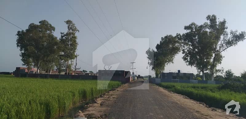 Agricultural Land Of 100 Acres For Sale