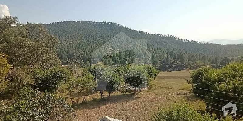 1600 Kanal Agricultural And Farming Land  For Sale