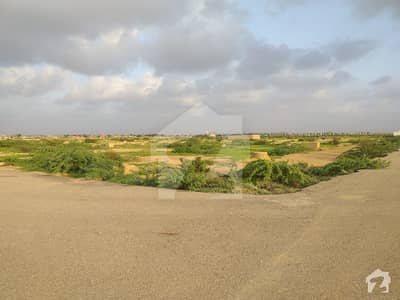 60 Feet Main Road 120 Sq Yards Residential Plot For Sale 60 Feet Main Road 120 Sq Yards Residential Plot For Sale