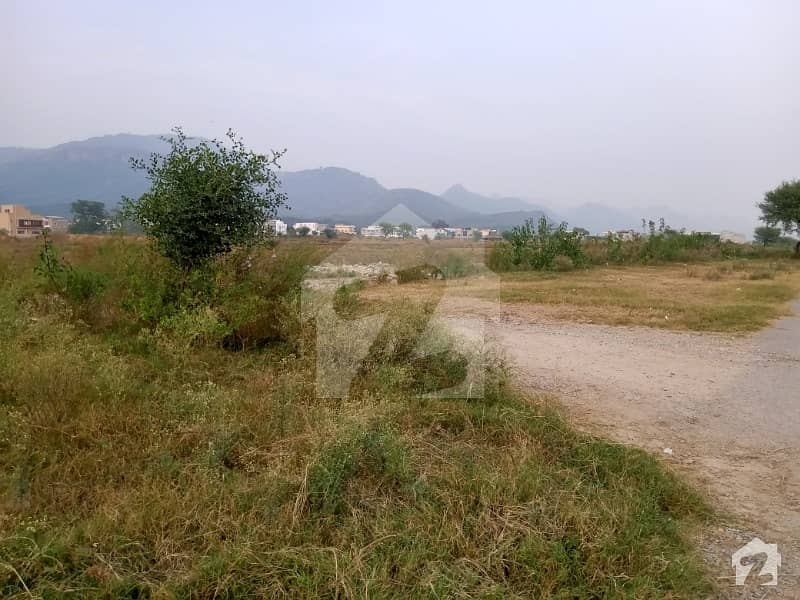 Good Location Plot For Sale At Investor Price