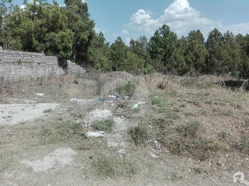 Governor House Road Abbottabad Plot For Sale