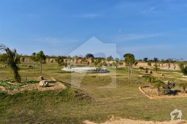 1 Kanal Plot Green City Islamabad Investor Price For Sale Ideal Location