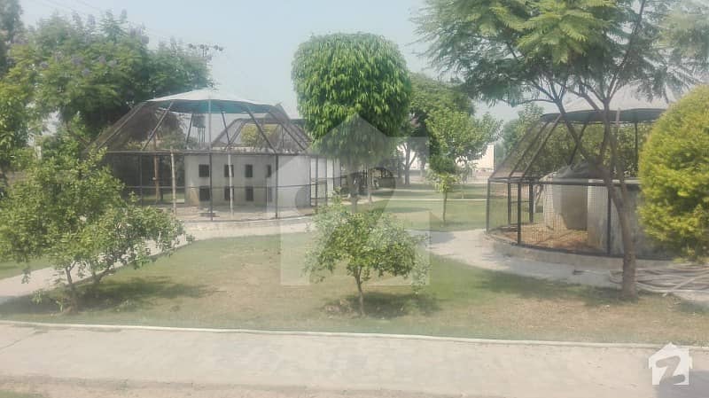 Farmhouse For Event On Barki Road  For Rent