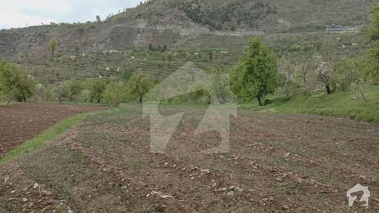 61 Kanal Plot Available For Sale In Mallam Jabba Ideal Location