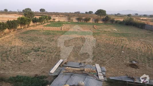 Bhadana Kalan G-17 - 6 Kanal Farm House  For Sale