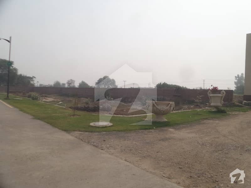 لاہور ۔ شیخوپورہ ۔ فیصل آباد روڈ فیصل آباد میں 32 کنال زرعی زمین 7.2 کروڑ میں برائے فروخت۔