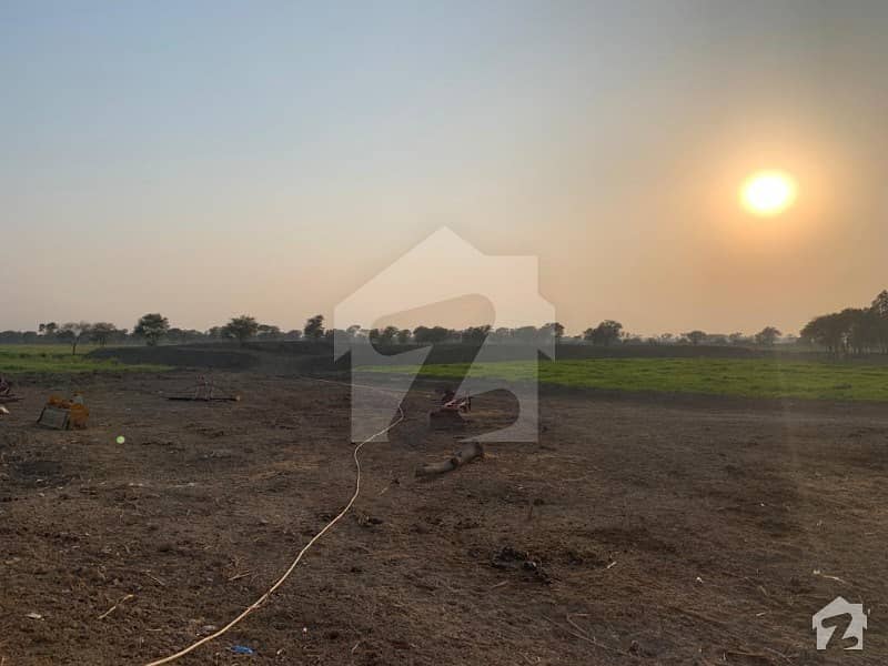 Agriculture Land For Sale Fertile Land Rajanpur