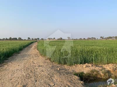 ادرز ڈیرہ اسماعیل خان میں 306 کنال زرعی زمین 4.13 کروڑ میں برائے فروخت۔