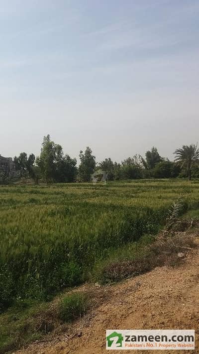 45 Acre Agricultural Land Available In Hub Baluchistan  Sakran Road For Sale
