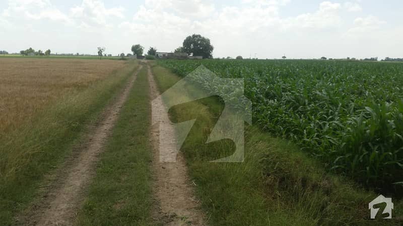 VVIP AGRICULTURAL LAND FOR SALE ON KALA KHATAI ROAD