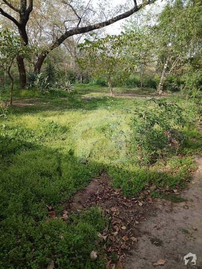 G-10/2 Plot For Sale Prime Location G-10/2 Plot For Sale Prime Location