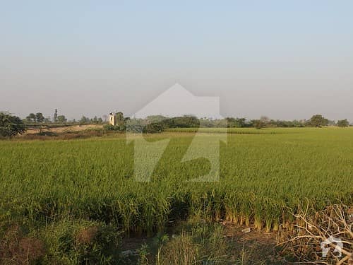 10 Acre Agricultural Land Moza Wahga Lahore For Sale