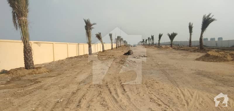 Taisar Town Scheme 45 Sector 79 Phase 1  Plot For Sale