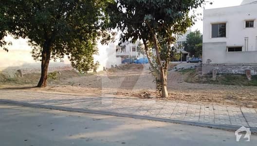 58 Tulip Excellent Location Plot For Sale On Attractive Rate 58 Tulip Excellent Location Plot For Sale On Attractive Rate