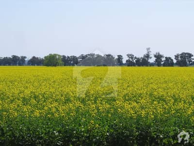 Commercial Plot For Sale In DHA Lahore Phase 8 Broadway Blcok D Commercial Plot For Sale In DHA Lahore Phase 8 Broadway Blcok D