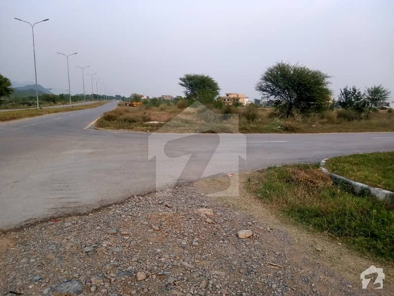 Double Road Plot At Thrown Away Price