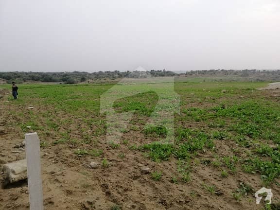 10 Kanal Land For Sale In  Chakwal