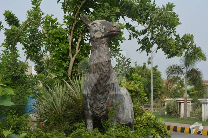 Plot Is Available For Sale In New Raza Garden Allama Iqbal Block