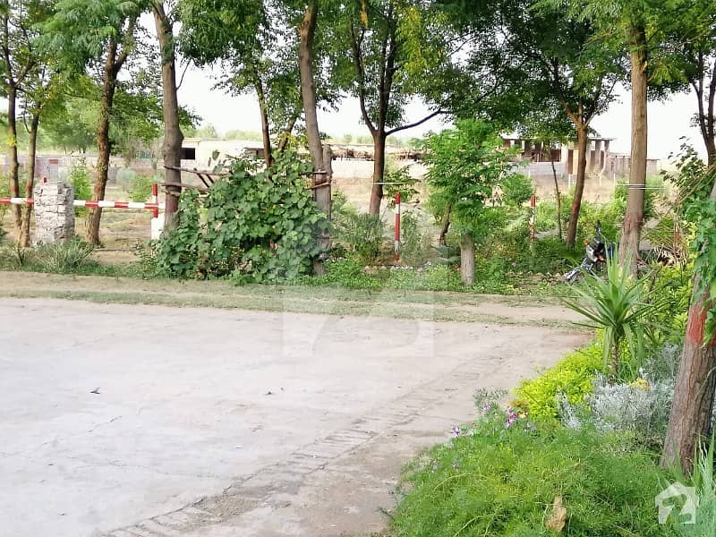 1400 Kanal Agricultural Land For Sale On Jhelum Road