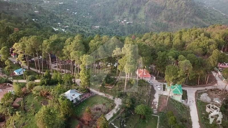 Plot For Sale In Dream Homes Murree