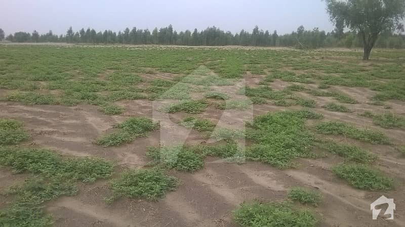 Plot For Sale  Cival Line Jauharabad 29 Marla