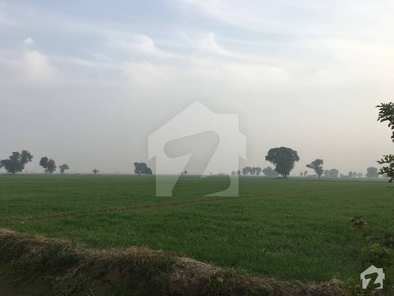 50 Acres Agricultural Land at Border Area Zero Line in Village Khorainwali Teh & Distt Bahawalnagar